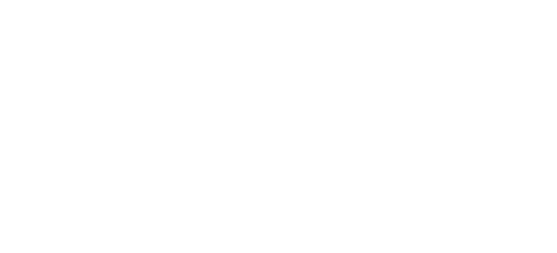 Mosa Launch